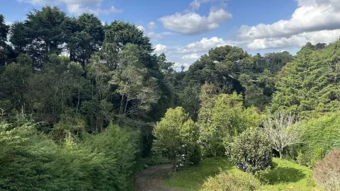 Casa Charmosa com Vista Deslumbrante para a Natureza