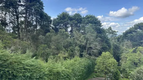Casa Charmosa com Vista Deslumbrante para a Natureza